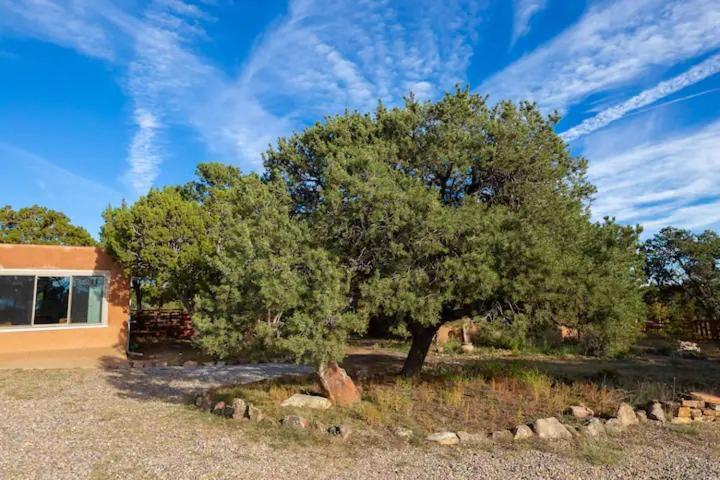 Bed and Breakfast Pet Friendly Pinon Heaven Canada de los Alamos Exterior foto